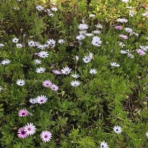 Meet your Posher, Kishora